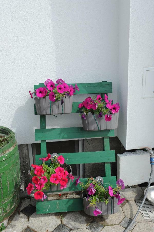 Apartment Odak Brodarica  Dış mekan fotoğraf